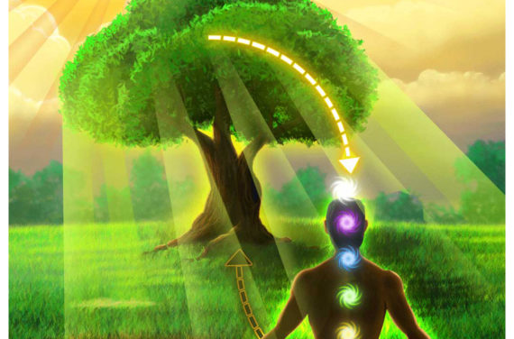 vriksha-shwasa-kriya