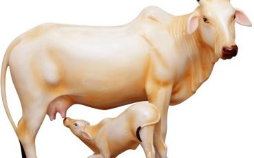 Hindu-Culture-Gau-Mata-Image Hindu-Culture-Gau-Mata-Image