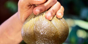 e00503e3-d8af-4d11-85d2-204e4305672d